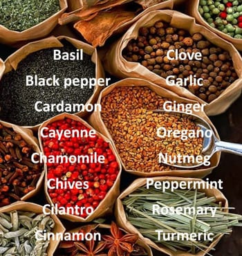 Healthy herbs and spices