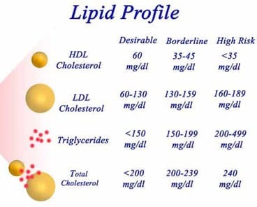 Cholesterol Levels