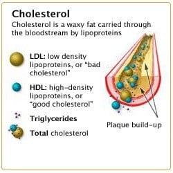 Cholesterol image