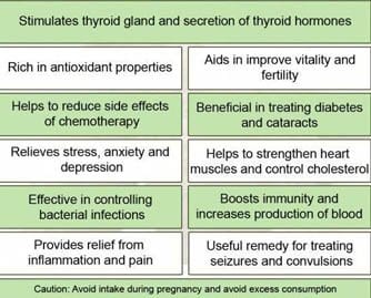 Ashwagandha Benefits