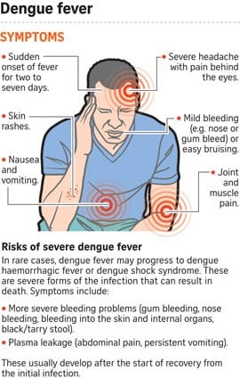 Symptoms risks dengue fever