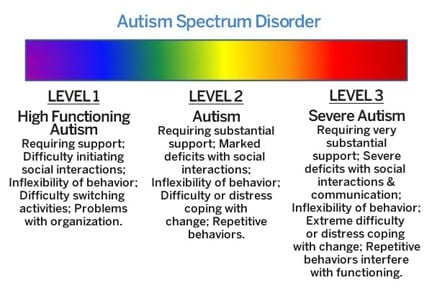 Levels of Autism
