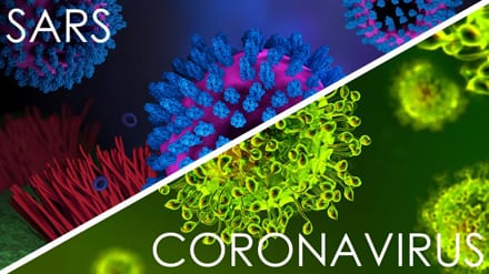 SARS coronaviruses