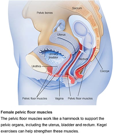 Female pelvic floor exercises