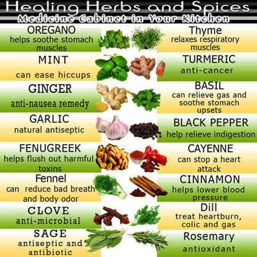 Medicinal uses herbs spices