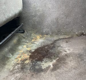 Toxic mold in car