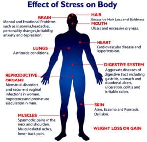 Stress and health effects-list